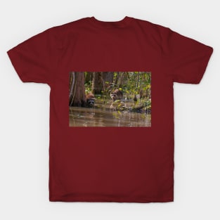 Raccoons on the Louisiana Bayou T-Shirt